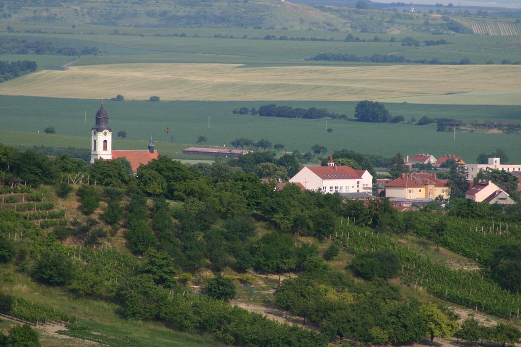 Апартаменты Ubytovani Nad Sklepem Вельке-Павловице Экстерьер фото